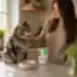 Soppa för kastrerade vuxna katter av alla raser med tonfisk och anka