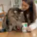 Soppa för kastrerade vuxna katter av alla raser med tonfisk och anka