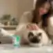 Soupe pour chats adultes de toutes races, favorisant le bon fonctionnement du système digestif, au thon et à la dinde