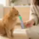 Supplerende vådfoder til voksne katte – mod hårbolde – med tun og ansjoser